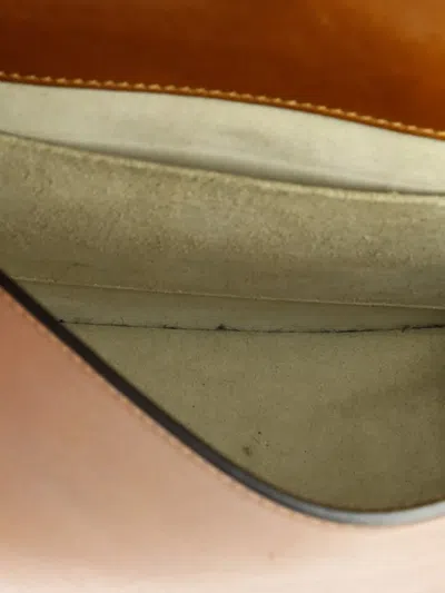 Pre-owned Chloé Nile Leather Medium Crossbody Bag In Brown