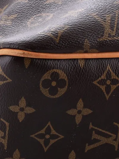 Pre-owned Louis Vuitton Delightful Nm Handbag Monogram Canvas Mm Hobo Bag In Brown