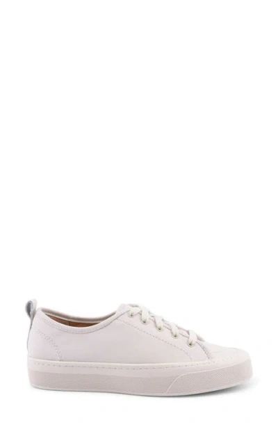 Sperry Candy Low Top Sneaker In Neutral