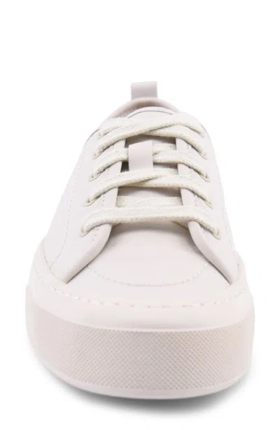 Sperry Candy Low Top Sneaker In Neutral