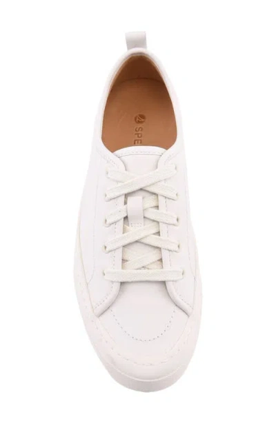 Sperry Candy Low Top Sneaker In Neutral