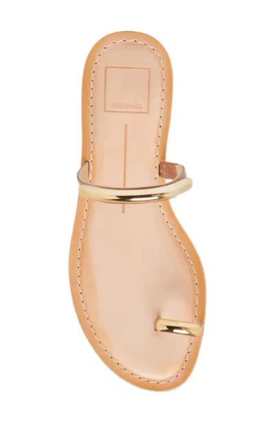 Dolce Vita Wink Slide Sandal In Brown