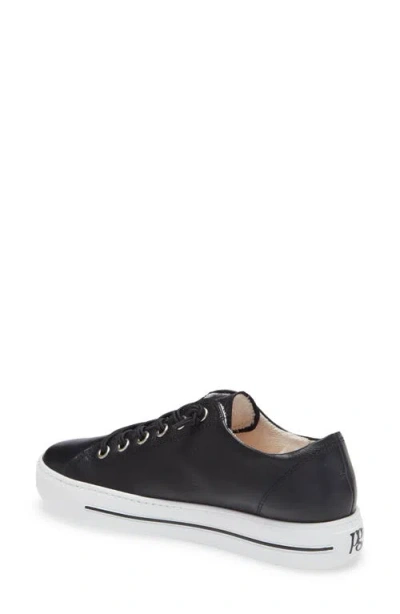 Paul Green Hadley Platform Sneaker In Black