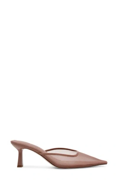 Steve Madden Lisbeth Pointed Toe Mule In Brown