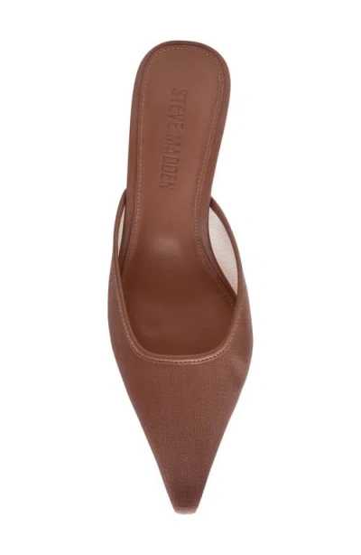 Steve Madden Lisbeth Pointed Toe Mule In Brown