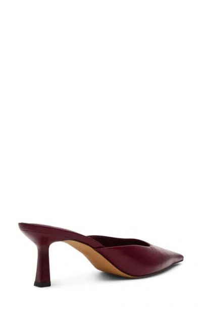 Steve Madden Lisbeth Pointed Toe Mule In Burgundy