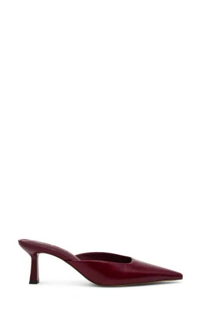 Steve Madden Lisbeth Pointed Toe Mule In Burgundy