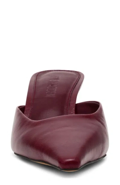 Steve Madden Lisbeth Pointed Toe Mule In Burgundy