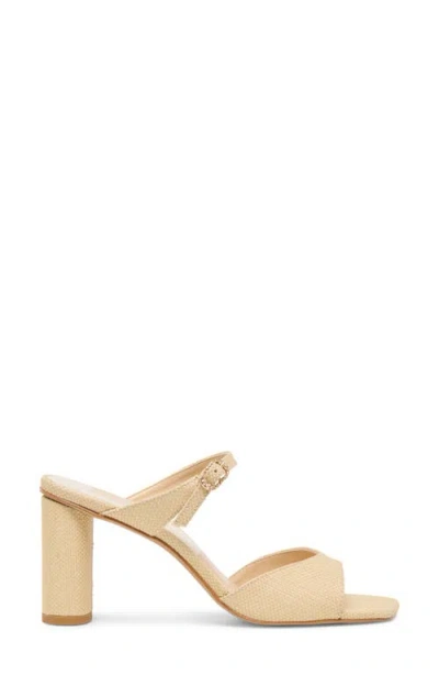 Dolce Vita Nattie Slide Sandal In Brown