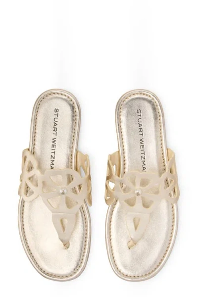 Stuart Weitzman Jasmine Metallic Cutout Thong Sandals In Gold