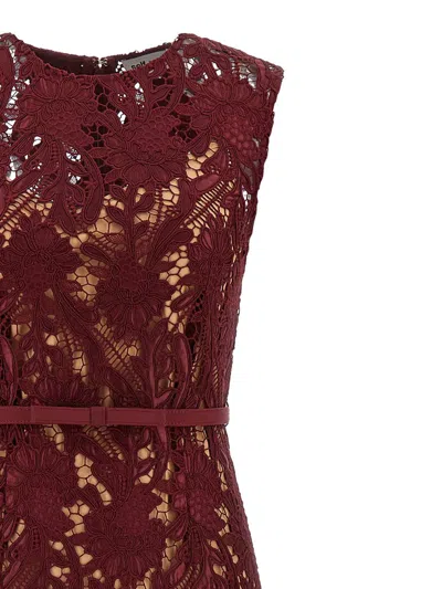 Self-portrait Burgundy Guipure Lace Midi Dresses Bordeaux In Burgundy