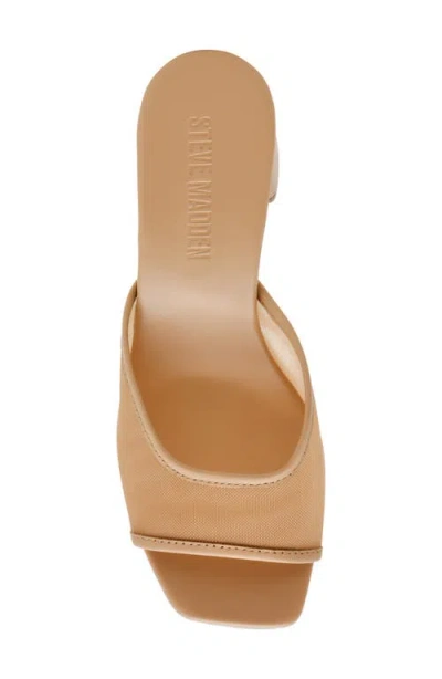 Steve Madden Madame Block Heel Sandal In Animal Print