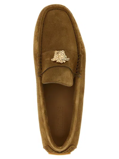 Versace La Medusa Loafers In Brown