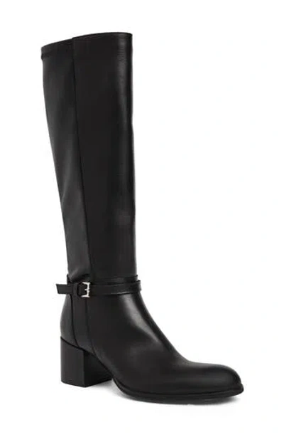 Bruno Magli Jessa Knee High Boot In Black