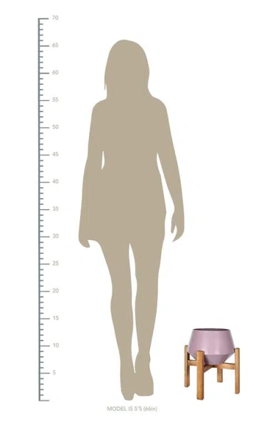 Parkland Collection Plant Stand In Purple