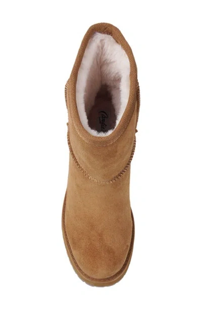 Candies Candie's Luccia Platform Bootie In Brown