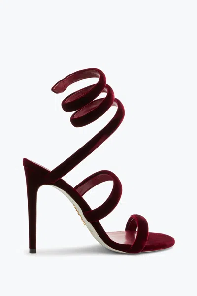 René Caovilla Cleo Velvet Intense Red Sandal 105 In Burgundy