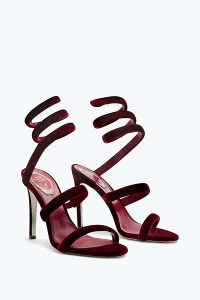 René Caovilla Cleo Velvet Intense Red Sandal 105 In Burgundy