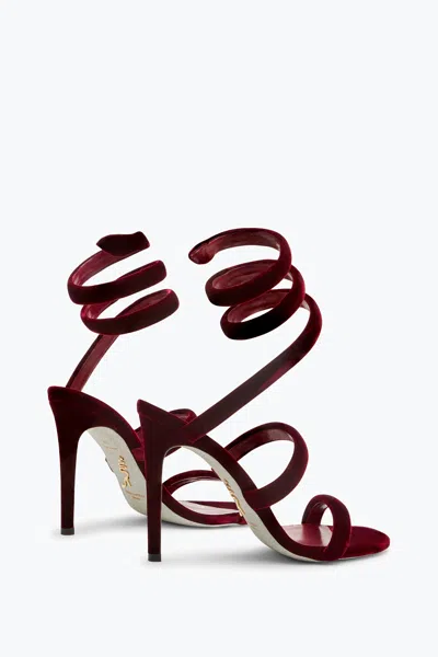 René Caovilla Cleo Velvet Intense Red Sandal 105 In Burgundy