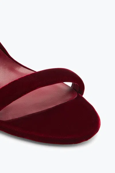 René Caovilla Cleo Velvet Intense Red Sandal 105 In Burgundy