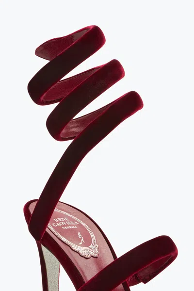 René Caovilla Cleo Velvet Intense Red Sandal 105 In Burgundy