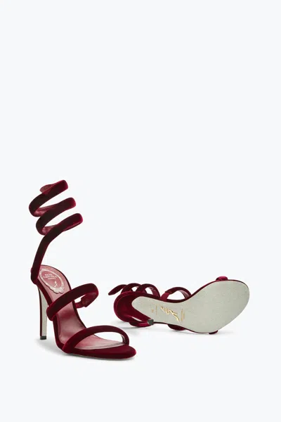 René Caovilla Cleo Velvet Intense Red Sandal 105 In Burgundy