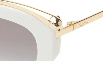Cartier 55mm Gradient Cat Eye Sunglasses In Brown