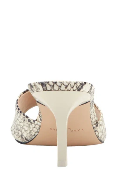 Marc Fisher Ltd Finny Slide Sandal In Animal Print