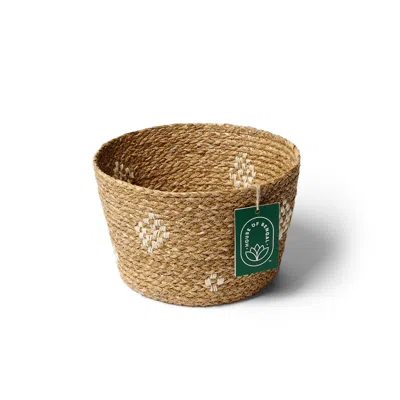 House Of Bengal Neutrals Jamdani Basket - Small
