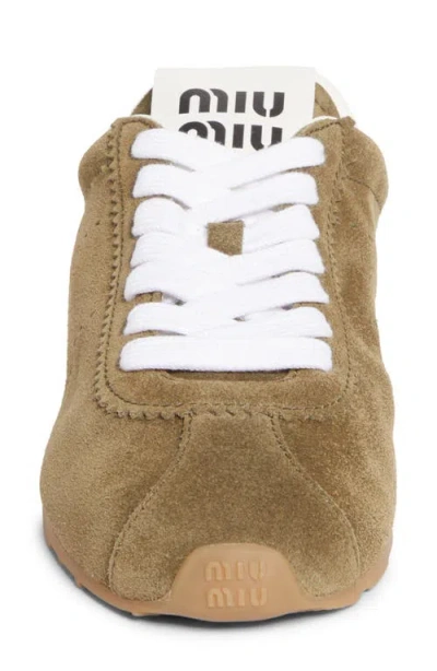 Miu Miu Cappuccino Suede Plume Sneakers In Brown