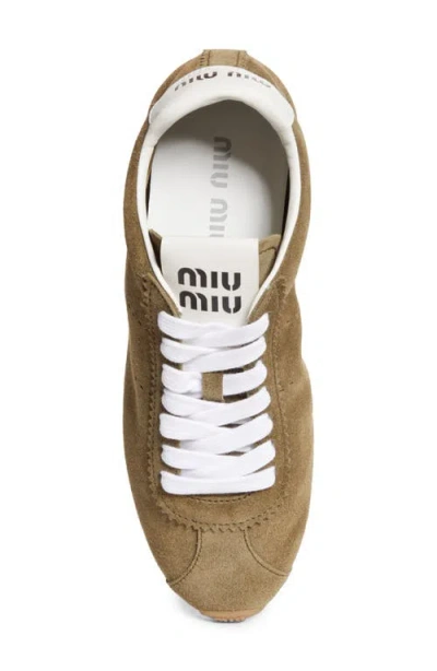 Miu Miu Cappuccino Suede Plume Sneakers In Brown