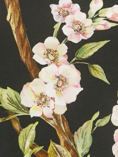 Pre-owned Dolce & Gabbana Floral-print Top In Black