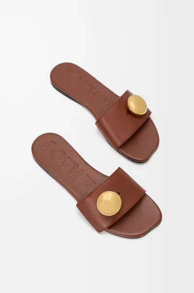 Loewe Logo Slippers In Multi