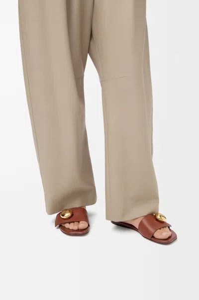 Loewe Logo Slippers In Multi