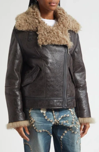 Acne Studios Luxy Genuine Shearling Lined Leather Aviator Jacket In Black
