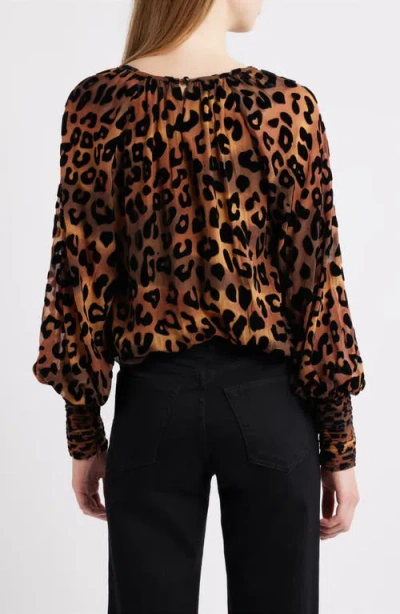 Ciebon Lenny Burnout Top In Brown