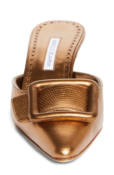 Manolo Blahnik Maysale Buckle Lizard Embossed Metallic Pointed Toe Kitten Heel Mule In Multi