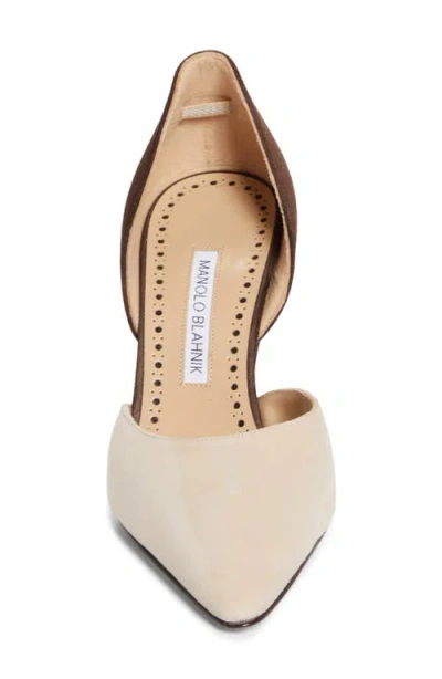 Manolo Blahnik Taylerbinu D'orsay Pump In Multi