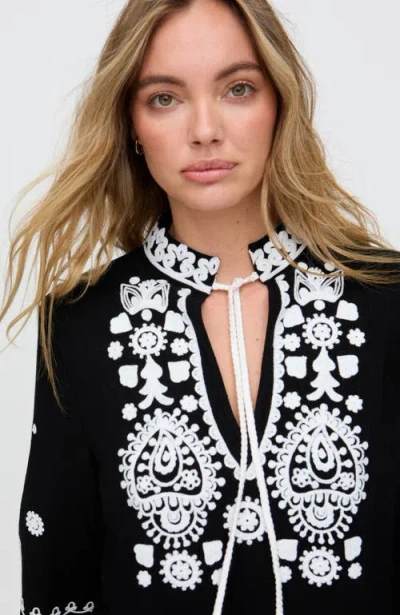 Raffya Katie Fringe Embroidered Mini Dress In Black