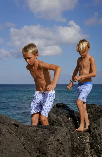 Feather 4 Arrow Kids' Marina Blue Board Shorts In Blue