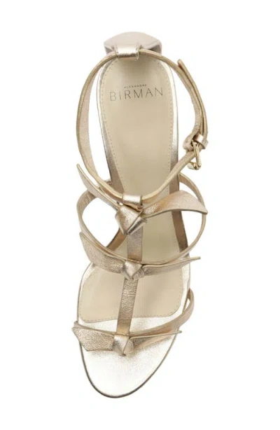 Alexandre Birman Slim Lolita Raffia Platform Sandal In Gold