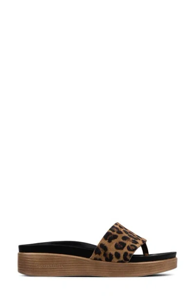 Donald Pliner Leopard Print Slide Sandal In Brown