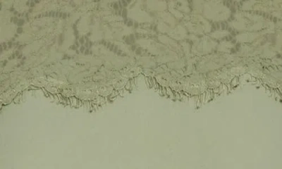 City Chic Katie Lace Yoke Top In Animal Print