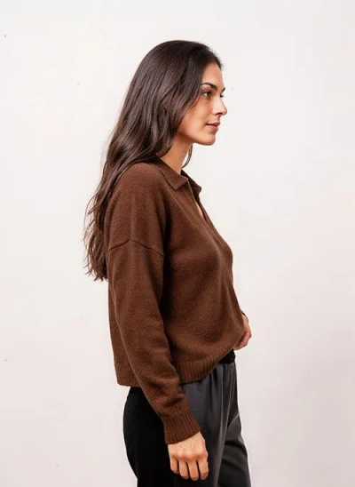 Central Park West Robbie V-neck Polo In Brown