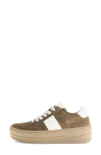 Gabor 73.351 Platform Sneaker In Brown
