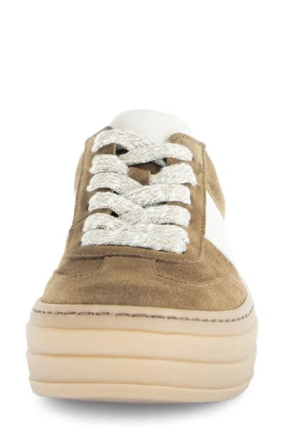 Gabor 73.351 Platform Sneaker In Brown