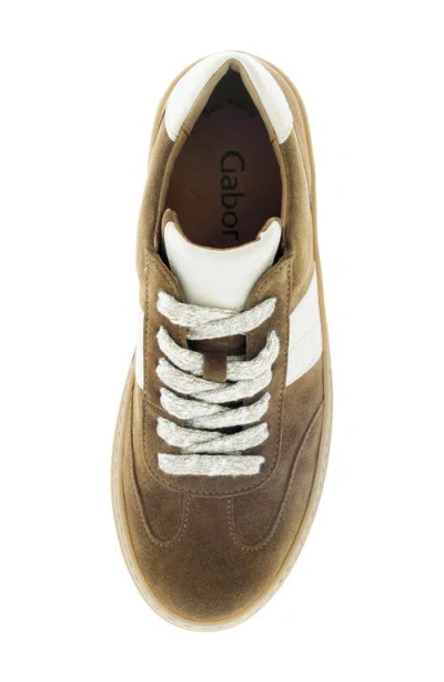 Gabor 73.351 Platform Sneaker In Brown