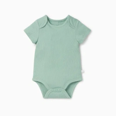 Mori Ribbed Short Sleeve Bodysuit In Green
