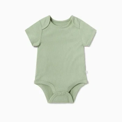 Mori Ribbed Short Sleeve Bodysuit In Green