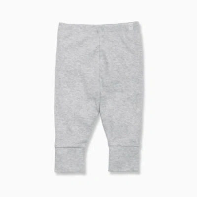 Mori Legging With Cuff In Gray
